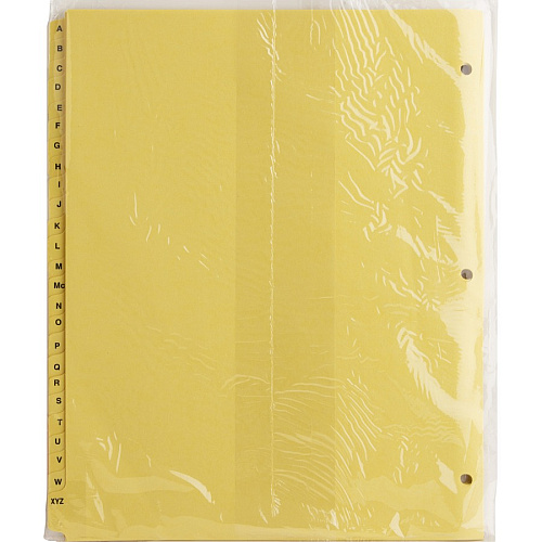 Business Source A-Z Clear Plastic Tab Index Dividers Printed Tab(s) - Character - A-Z - 25 Tab(s)/Set - 8.5" Divider Width x 11" Divider Length - Letter - 3 Hole Punched - Buff Divider - Buff Plastic Tab(s) - 25 / Set (BSN01806)