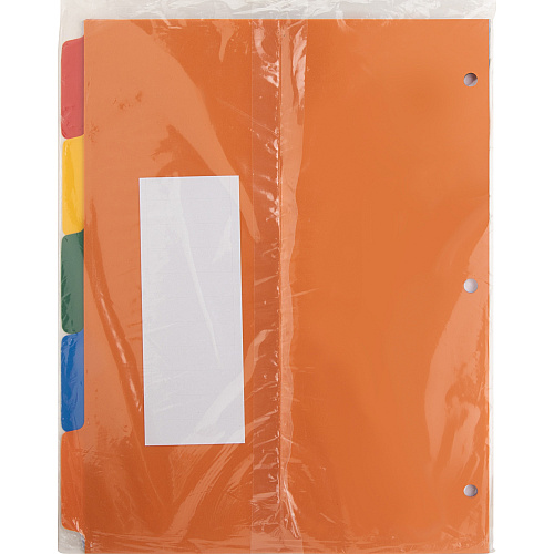 Business Source Plain Tab Color Polyethylene Index Dividers Blank Tab(s) - 5 Tab(s)/Set - 8.5" Divider Width x 11" Divider Length - Letter - 3 Hole Punched - Red Polyethylene, Yellow, Green, Blue, Orange Divider - Red Polyethylene, Yellow, Gree (BSN01809)