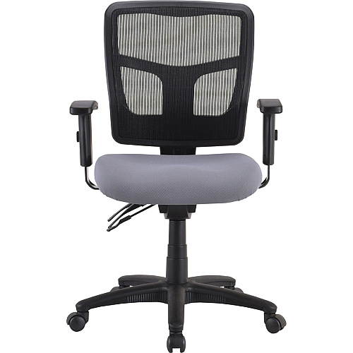 Lorell Ergomesh Executive Mesh Mid-Back Office Chair (86201) Frame Black - 1 Each (LLR86211)
