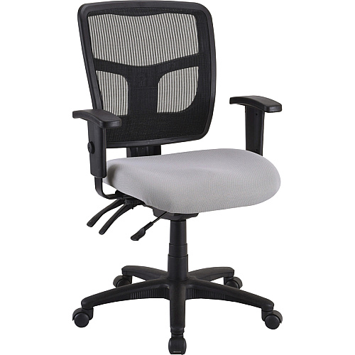 Lorell Ergomesh Executive Mesh Mid-Back Office Chair (86201) Frame Black - 1 Each (LLR86211)