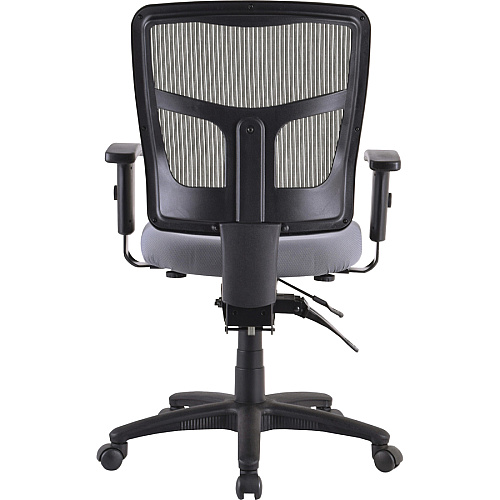 Lorell Ergomesh Executive Mesh Mid-Back Office Chair (86201) Frame Black - 1 Each (LLR86211)