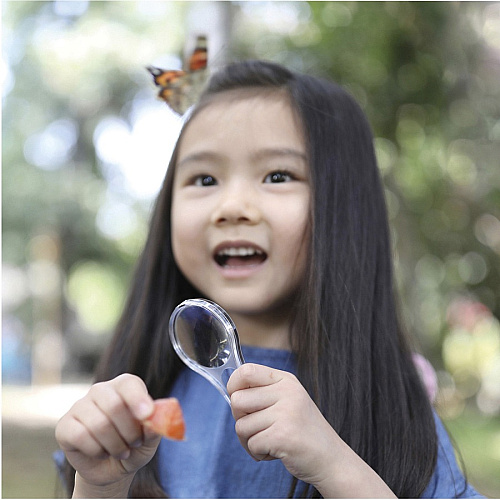 Educational Insights GeoSafari Jr. Butterfly Bungalow STEM Toy - Theme/Subject: Learning - 4-10 Year - Multi (5085)