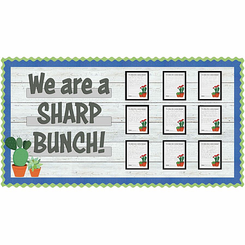 Fadeless Shiplap Design Board Art Paper Fun and Learning, Classroom, Bulletin Board, Display, Craft, Art, Table Skirting, Decoration - 48" Height x 2" Width x 50 ft Length - Assorted - 1 Roll (56795)