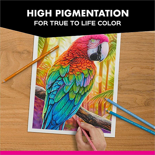 Prismacolor Under Sea Coloured Pencil Set 12 / Pack (2023751)