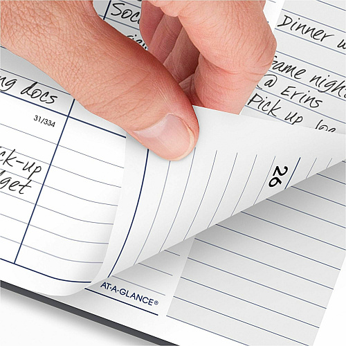 At-A-Glance DayMinder Monthly Planner (GC47007)