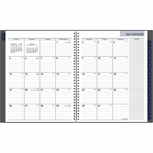 At-A-Glance DayMinder Monthly Planner (GC47007)