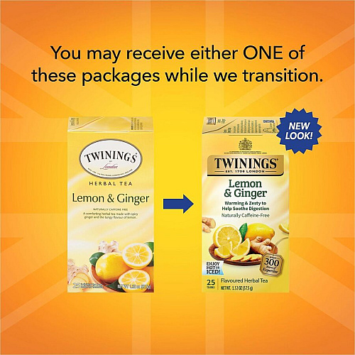 Twinings of London Lemon & Ginger Herbal Tea Bag Herbal Tea - 1.3 oz - 25 / Box (09180)