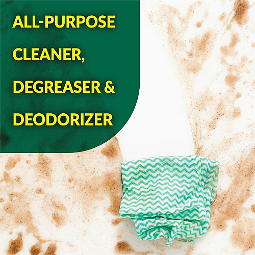Simple Green All-Purpose Concentrated Cleaner For School, Government Facilities, University - Concentrate - Liquid - 32 fl oz (1 quart) - Original Scent - Non-abrasive, Non-flammable - Green - 12 / Carton (13033CT)