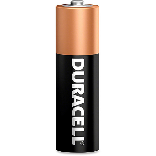 Duracell Coppertop Alkaline AA Battery Boxes of 24 For Multipurpose - AA - 24/Box - 6 / Carton (01501CT)