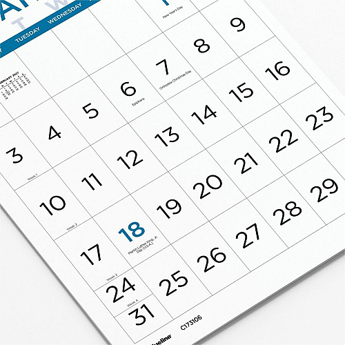 Blueline Large Print Wall Calendar, English (C173106)