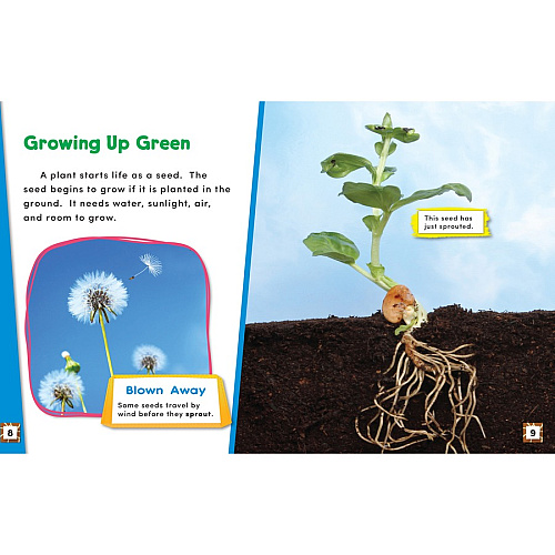 Shell Education Learn At Home Science 4-book Set Printed Book Book - Grade 1 - English - 1 Set (118402)