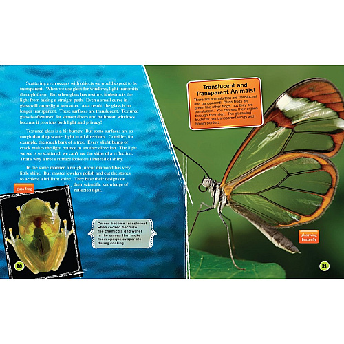 Shell Education Learn At Home Science 4-book Set Printed Book Book - Grade 4 - English - 1 Set (118405)