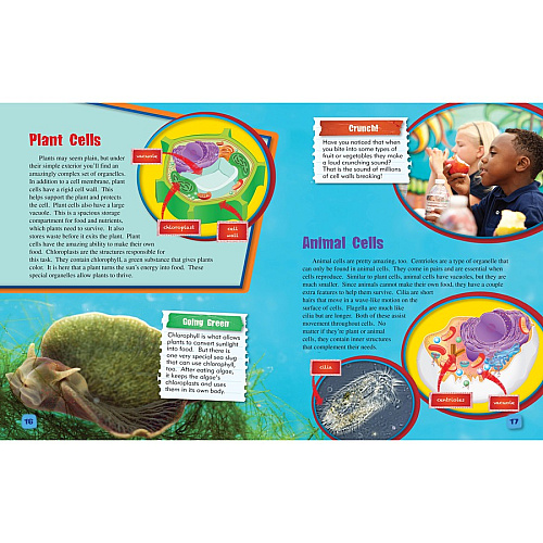 Shell Education Learn At Home Science 4-book Set Printed Book Book - Grade 5 - English - 1 Set (118406)