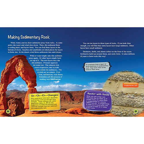 Shell Education Learn-At-Home Summer Science Set Printed Book by Wendy Conklin 224 Pages - Book - Grade 4-5 - Multilingual - 1 Set (51681)