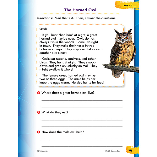 Shell Education Summer Blast Student Workbook Printed Book by Wendy Conklin 128 Pages - Book - Grade 2-3 - Multilingual - 1 Each (51553)