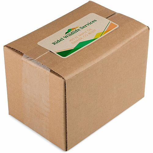 Avery&reg; Shipping Labels,, Kraft Brown, 2" x 4" , 250 Labels (5784) 2" Height x 4" Width - Permanent Adhesive - Rectangle - Laser, Inkjet - Kraft Brown - Paper - 10 / Sheet - 25 Total Sheets - 250 Total Label(s) - 1 Carton (05784)