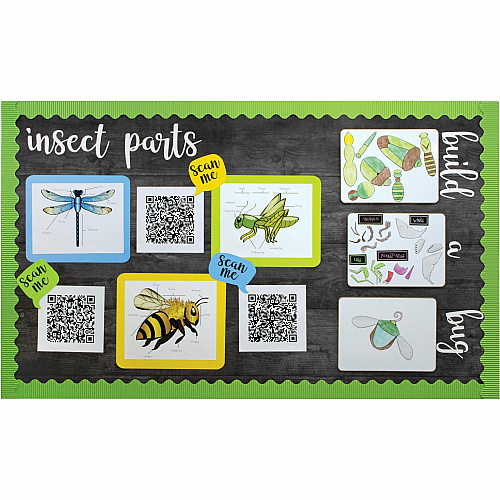 Fadeless Designs Paper Roll Art Project, Craft Project, Classroom, Display, Table Skirting, Decoration, Bulletin Board - 48" Width x 50" Length - Black - 1 Roll (P56915)