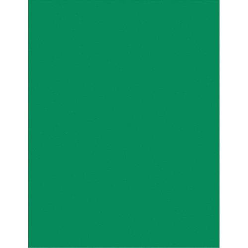 Pacon Color Brights Cardstock - Emerald Green Letter - 8 1/2" x 11" - 65 lb Basis Weight - Acid-free, Recyclable, Lignin-free, Buffered - Emerald Green - 100 / Pack (P101170)
