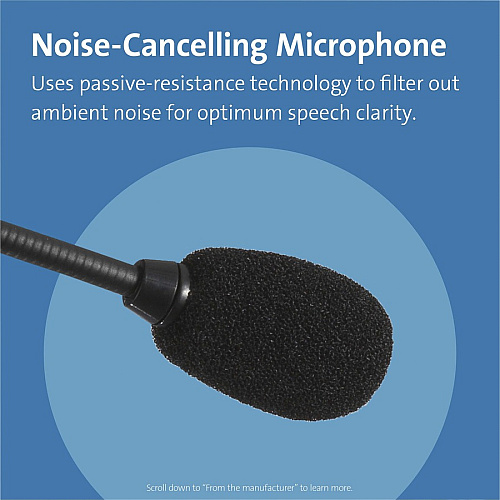 Kensington USB-C Hi-Fi Headphones with Mic Stereo - USB Type C - Wired - Over-the-head - Binaural - Ear-cup - 6 ft Cable - Noise Cancelling Microphone - Noise Canceling - Black (97457)