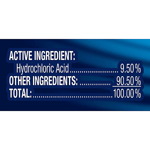 Lysol Toilet Bowl Cleaner 24 oz (1.50 lb) - Atlantic Fresh Scent - Disinfectant - Blue Bottle - 2 / Pack (98016)