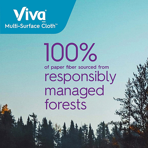 Viva&reg; Multi-Surface Kitchen Cloth Paper Towels, 1-Ply, 165 Sheets, 6 Rolls 1 Ply - 165 Sheets/Roll - White - 6 / Pack (53663)