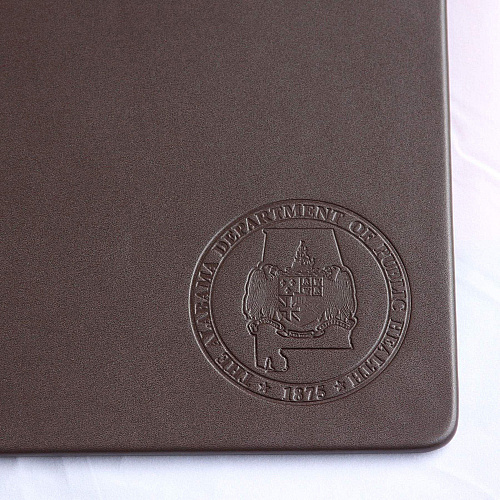 Dacasso Leatherette Desk Mat Rectangular - 34" Width - Leatherette, Velveteen - Chocolate Brown - 1 Each (P3433)
