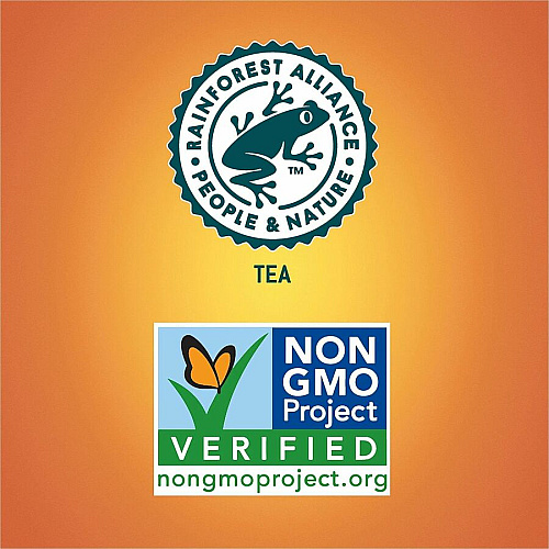 Tejava Lemon Black Tea Bottle GMO Free - 24 / Carton (40353)
