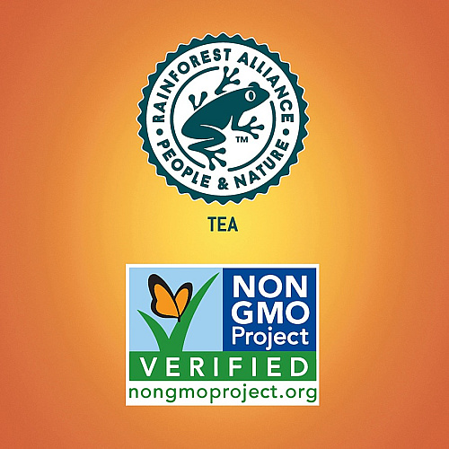 Tejava Lemon Black Tea Bottle GMO Free - 12 / Carton (40352)