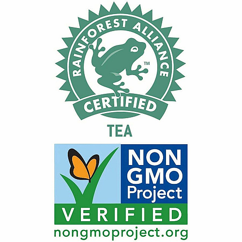 Tejava Mint Black Tea Bottle GMO Free - 102 / Pallet (40133PL)