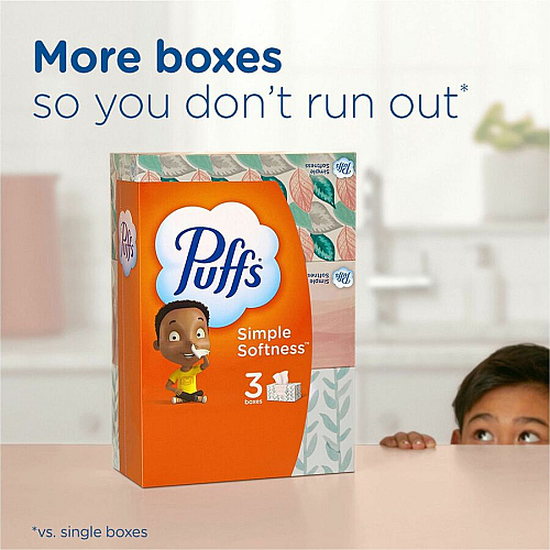 Puffs Basic Facial Tissue 2 Ply - 8.40" x 8.20" - White - 64 Per Box - 24 / Carton (84405CT)