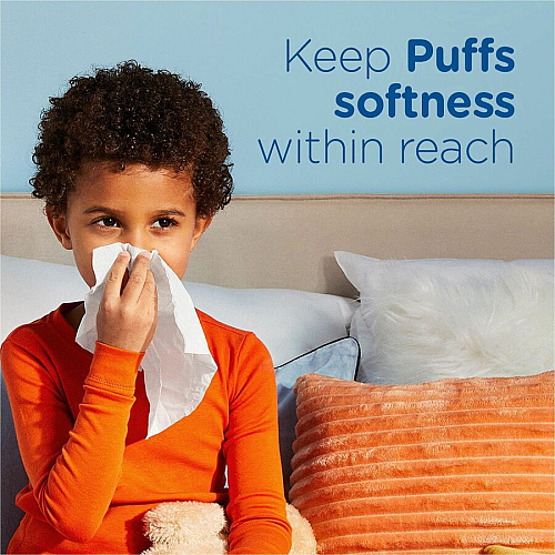 Puffs Basic Facial Tissue 2 Ply - 8.40" x 8.20" - White - 64 Per Box - 24 / Carton (84405CT)