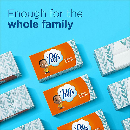 Puffs Basic Facial Tissue 2 Ply - 8.40" x 8.20" - White - 64 Per Box - 24 / Carton (84405CT)