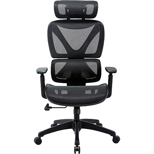 Lorell High-back Mesh Chair Black Seat Color - Mesh Seat Material - Black Back Color - Mesh Back Material - Plastic Frame Material - High Back - 5-star Base - Armrest - 1 Each (LLR84396)