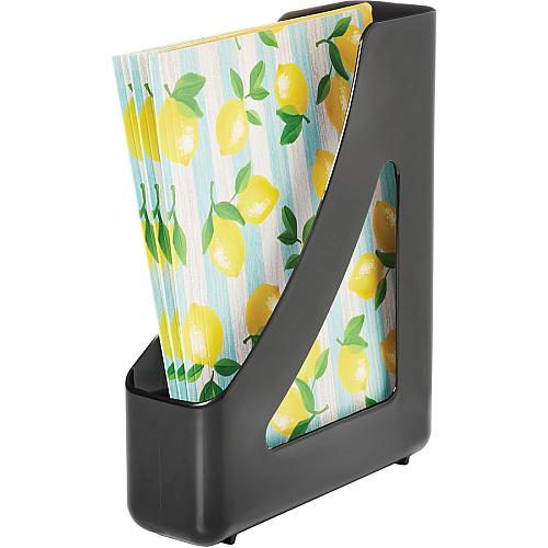 Deflecto AntiMicrobial Magazine File Black - Polystyrene - 1 Each (63909)