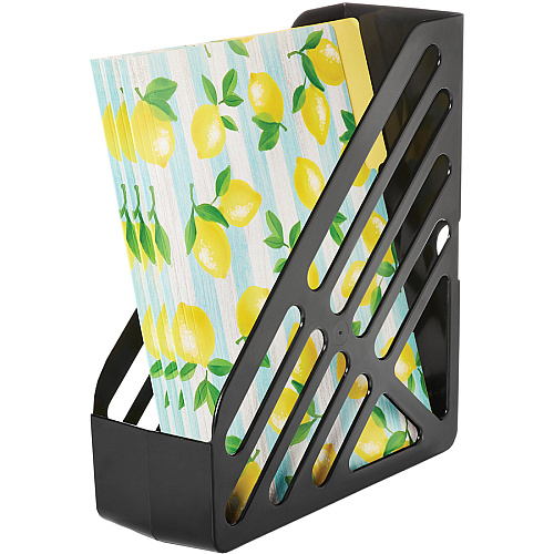 Deflecto AntiMicrobial Jumbo Magazine File Black - Polystyrene - 1 Each (63907)