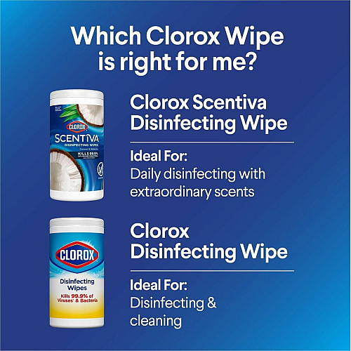 Clorox Scentiva Wipes, Bleach Free Cleaning Wipes Ready-To-Use - Coconut & Water Lily Scent - Bleach-free, Disinfectant, Deodorize - White - 75/Tub - 1 Each (60037)