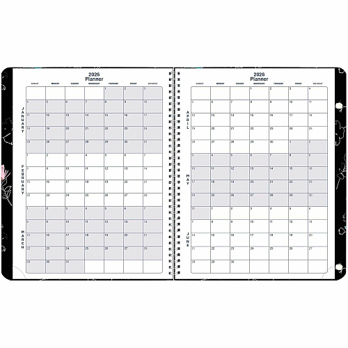 Rediform Essential Weekly/Monthly Planner (C701G01)
