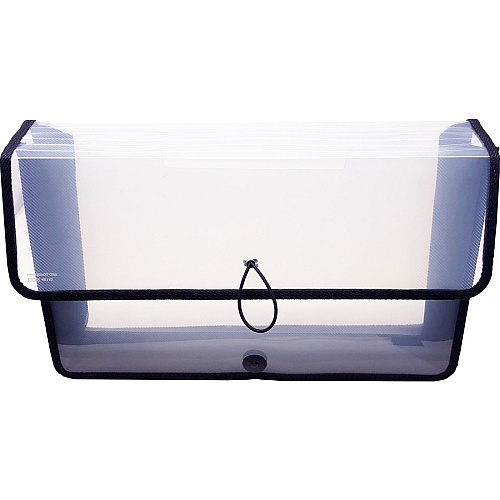 Lion EXPAND-N-FILE File Wallet 3" Folder Capacity - Clear - 1 Each (48170CR)