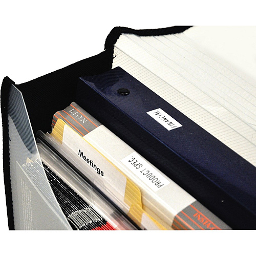 Lion EXPAND-N-FILE File Wallet 3" Folder Capacity - Clear - 1 Each (48170CR)
