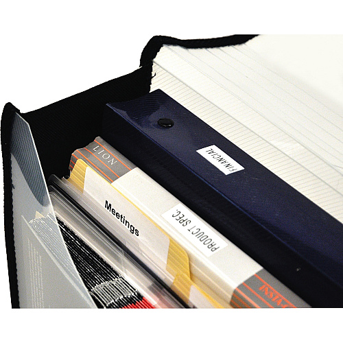 Lion EXPAND-N-FILE File Wallet 3" Folder Capacity - Clear - 1 Each (48170CR)