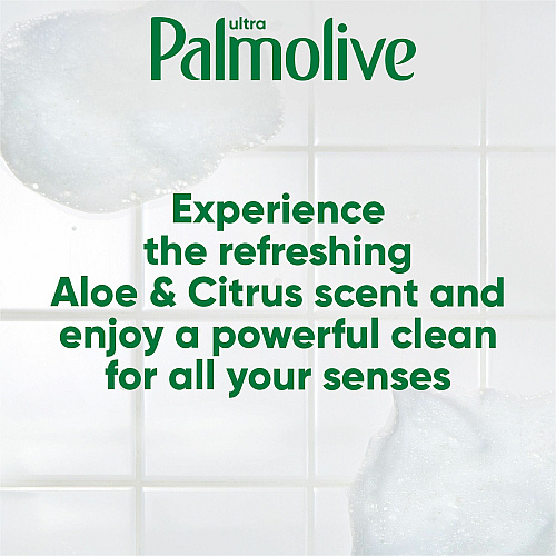 Palmolive&reg; Liquid Dish Soap, Citrus Scent, 20 fl oz (0.6 quart) - Aloe & Citrus Scent - Phosphate-free, Paraben-free, Eco-friendly, Biodegradable - Clear - 9 / Carton (US04230ACT)