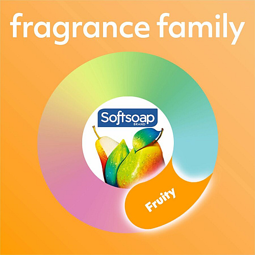 Softsoap Antibacterial White Tea Hand Soap White Tea & Berry Scent - 11.25 fl oz - Pump Bottle Dispenser - Bacteria Remover, Dirt Remover - Hand, Skin, Kitchen, Bathroom - Moisturizing - Antibacterial - Refillable, Paraben-free, Phthalate-free, (US03574A)