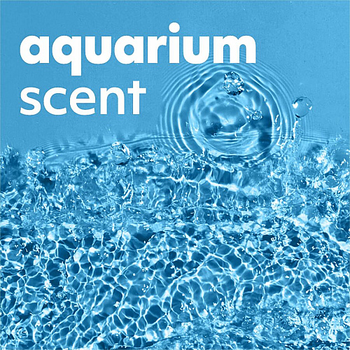 Softsoap Aquarium Hand Soap Fresh Scent Scent - 7.50 fl oz - Soil Remover, Bacteria Remover, Dirt Remover, Kill Germs - Hand, Skin - Moisturizing - Antibacterial - Clear - Rich Lather, Recyclable, Paraben-free, Phthalate-free, pH Balanced, Biod (US04966A)