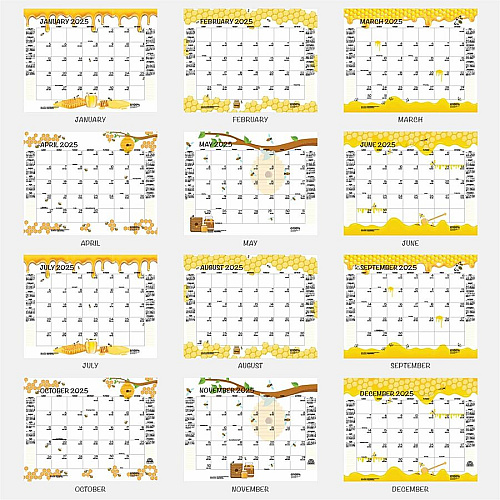 House of Doolittle Honeycomb Monthly Desk Pad Calendar (156)