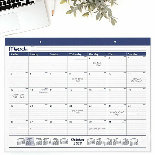 Cambridge Basic 2025-2026 Monthly Desk Pad Calendar, Standard, 21 3/4" x 17" (CRM92020)