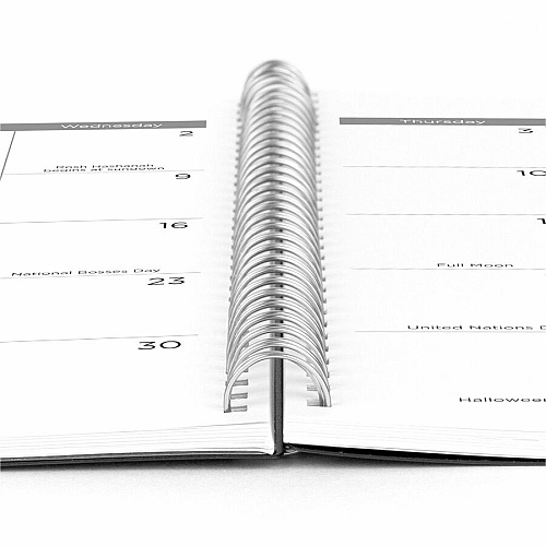 Mead Basic Weekly Monthly Planner, Black, Large, 8 1/2" x 11" (CRW62005)