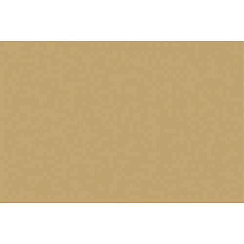 Tru-Ray Construction Paper Art Project, Craft Project - 12" Width x 18" Length - 76 lb Basis Weight - Almond - Fiber, Sulphite - 50 / Pack (P103074)