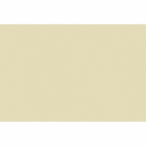 Tru-Ray Construction Paper Art Project, Craft Project - 12" Width x 18" Length - 76 lb Basis Weight - Ivory - Fiber, Sulphite - 50 / Pack (P103065)