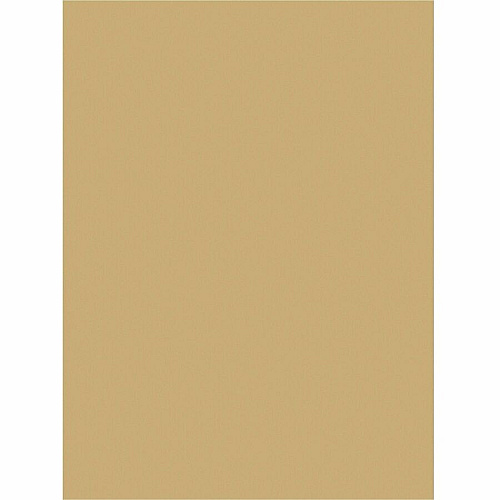 Tru-Ray Construction Paper Art Project, Craft Project - 9" Width x 12" Length - 76 lb Basis Weight - Almond - Fiber, Sulphite - 50 / Pack (P103067)