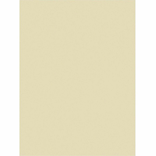 Tru-Ray Construction Paper Art Project, Craft Project - 9" Width x 12" Length - 76 lb Basis Weight - Ivory - Fiber, Sulphite - 50 / Pack (P103043)